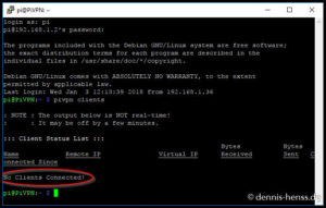 "pivpn clients" gibt euch eine Liste der eingeloggten Benutzer aus.